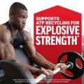 Force_Factor_Essentials_Creatine_Monohydrate_Powder_095g_Tub_60sv_09_550x550