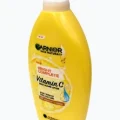 GARNIER 2